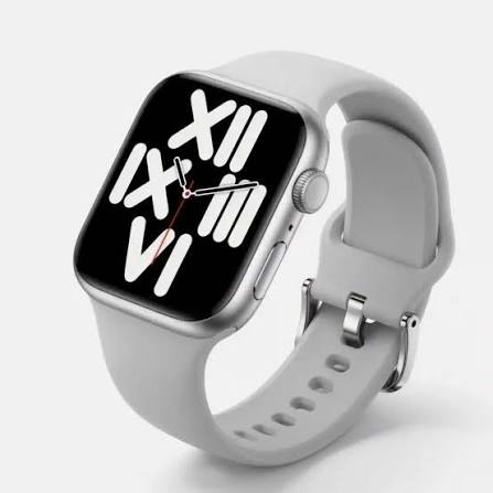 Pebble Rise Pro Smartwatch
