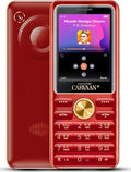 Saregama Carvaan M21